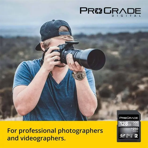 carte-mémoire-prograde-digital-sdxc-uhs-ii-v90---64go---300-mb-s-lecture---up-to-250-mb-s-écriture