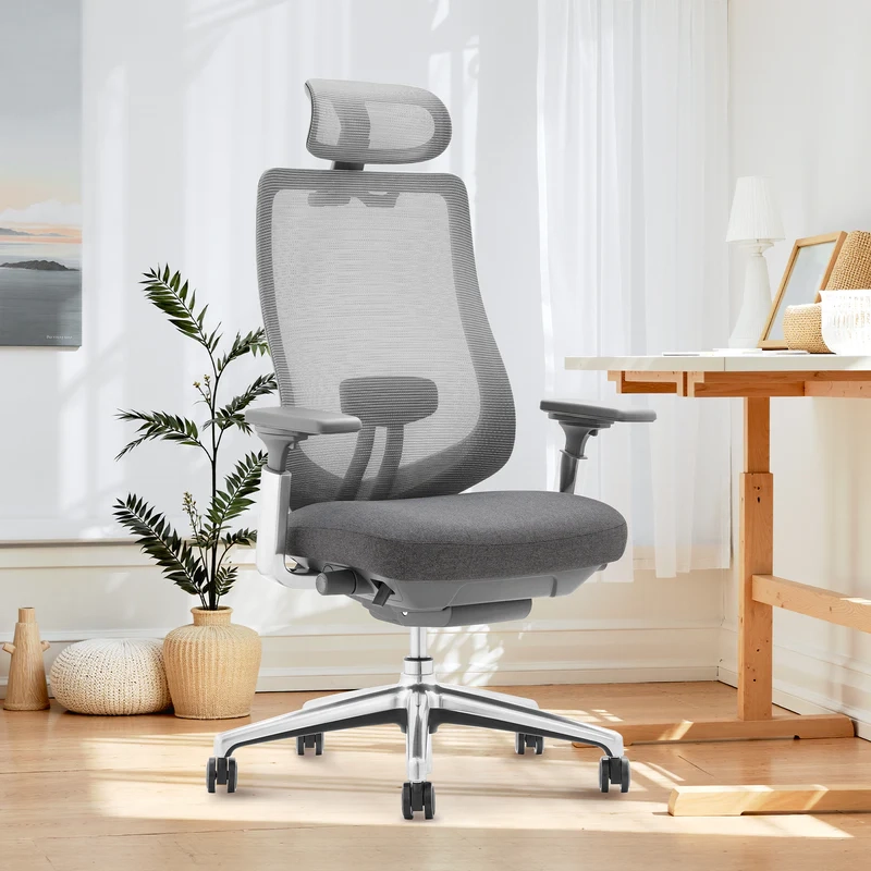 chaise-directeur-icon-hg-plus