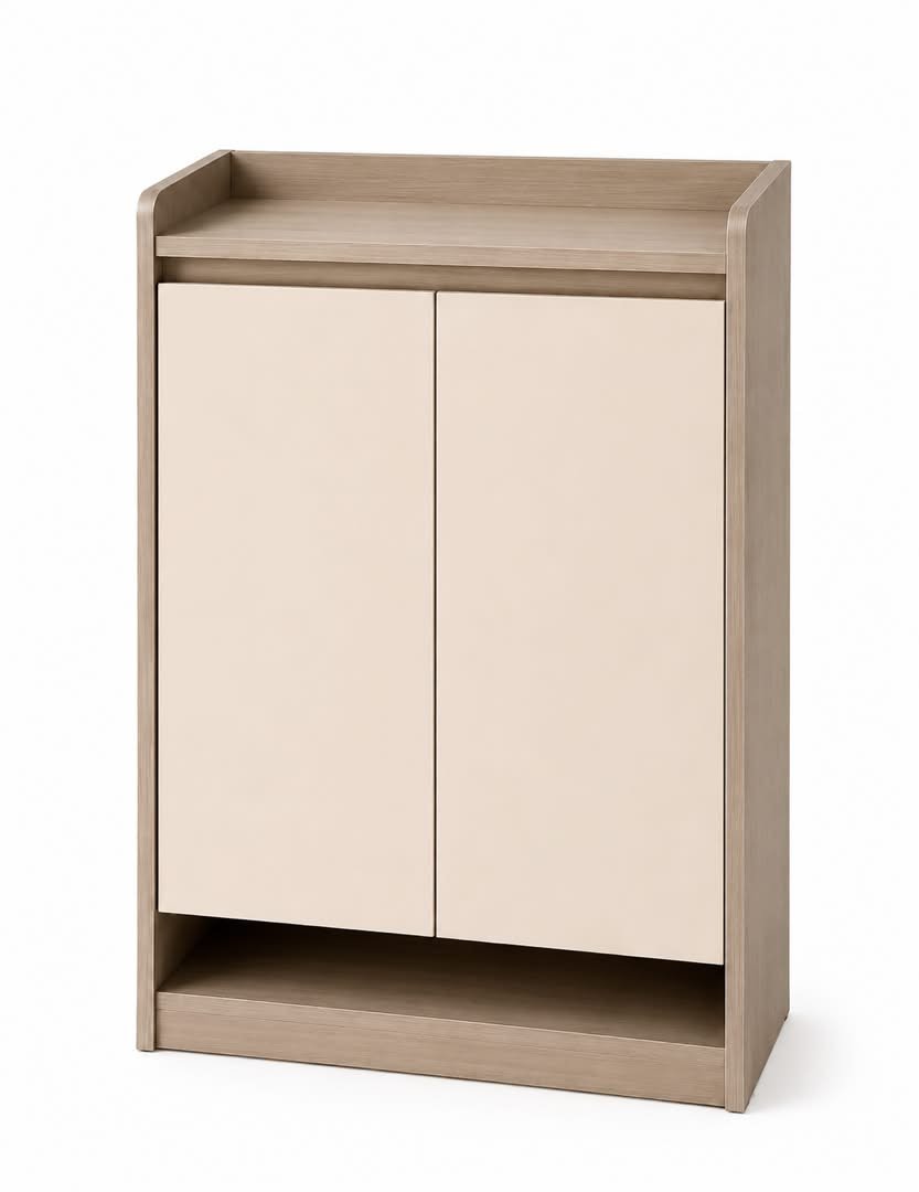 meuble-a-chaussures-2-portes-avec-plateau-superieur-8548