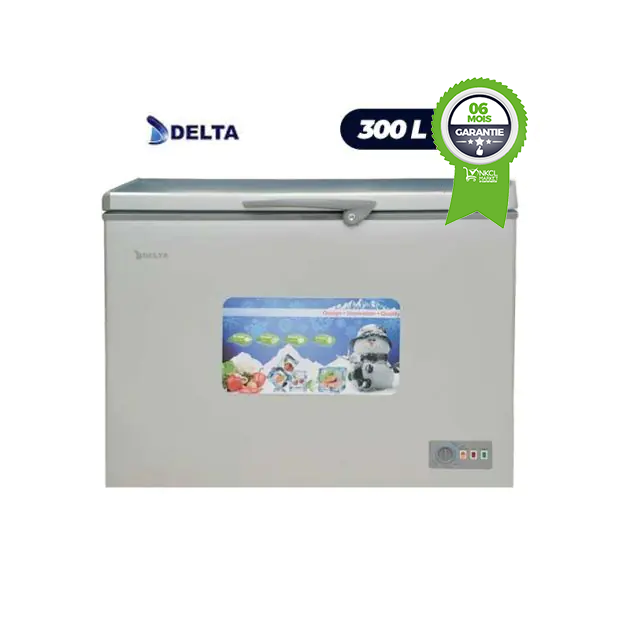 Congélateur coffre - Delta - DCF300SLV - 300 litres - Gris Argent - 6 mois