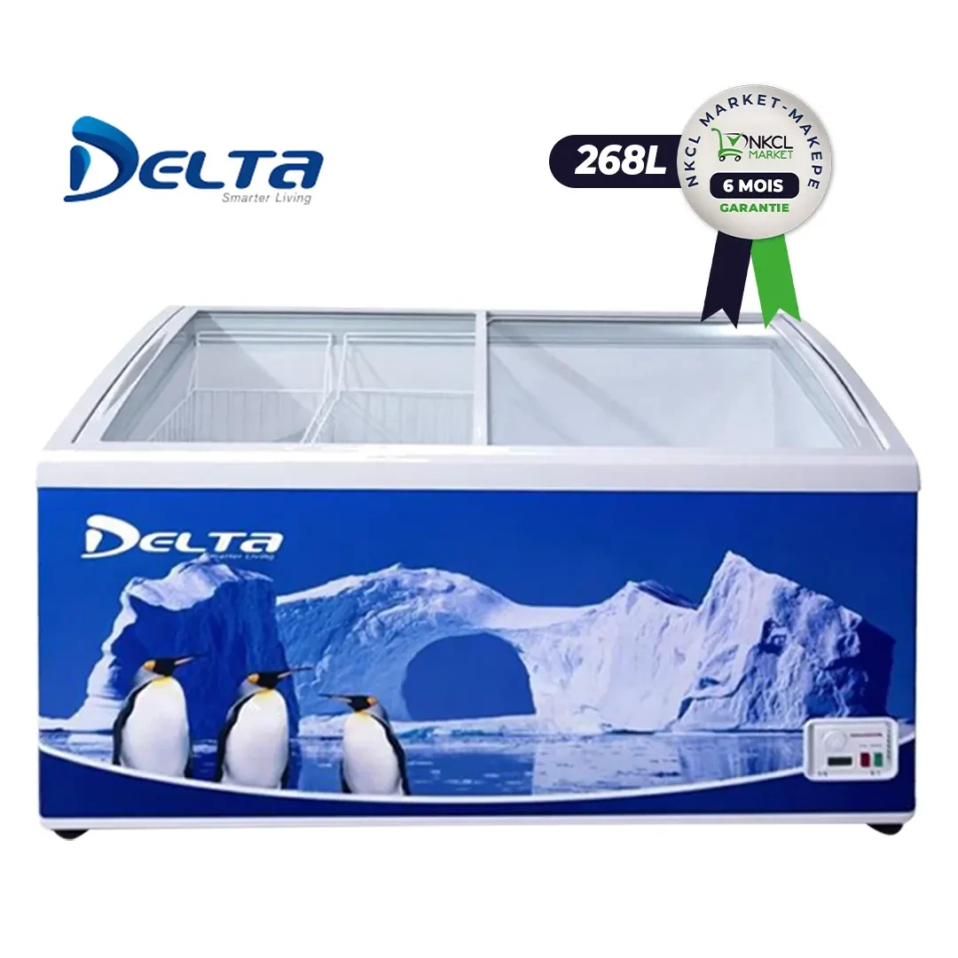 congelateur-coffre-delta-268-300-litres-6-mois-de-garantie-7489
